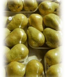 Pears wrapped in polyolefin shrink film available from Kempner