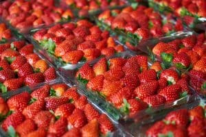 plastic packaging used to protect strawberry punnets 