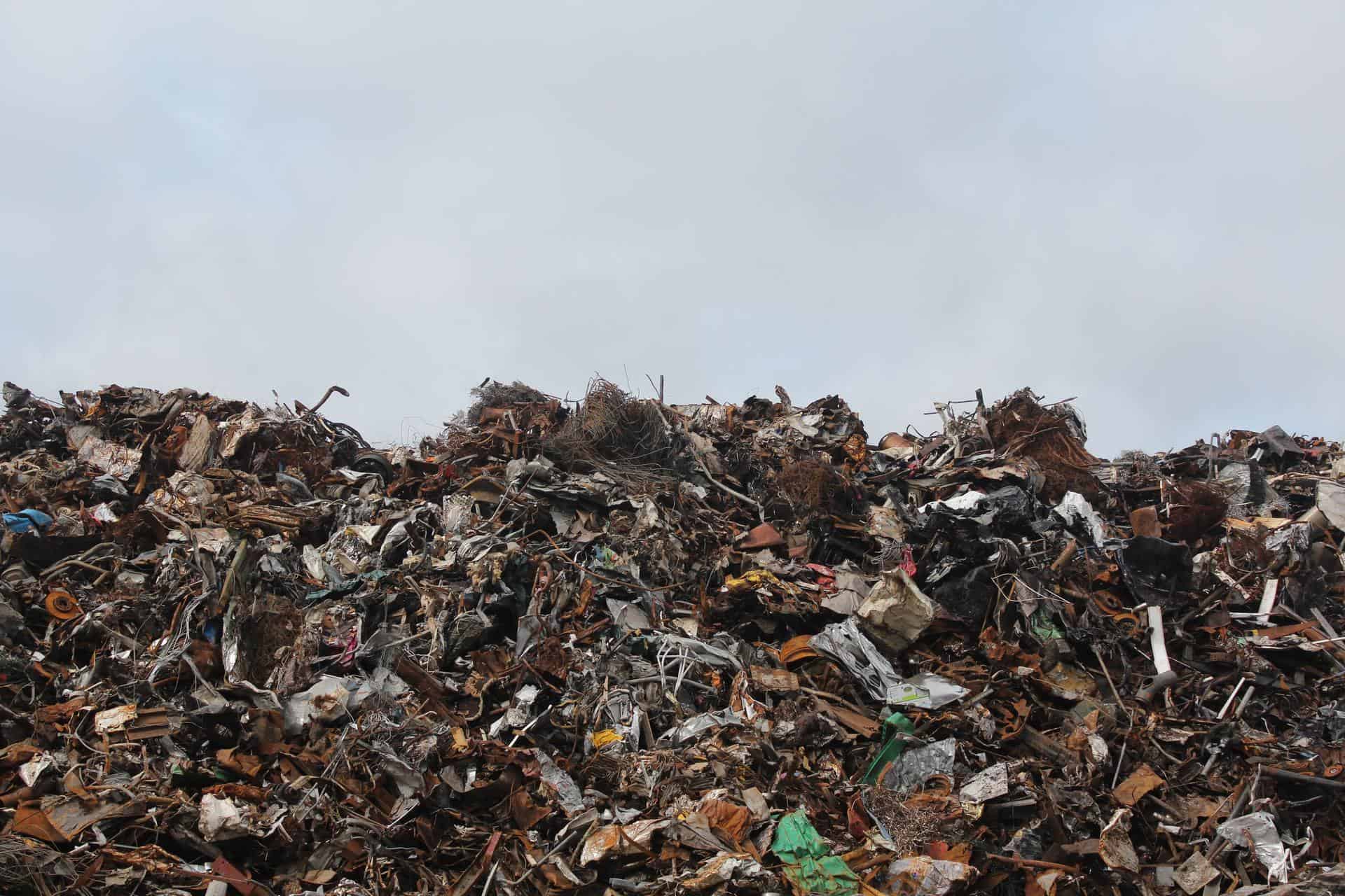 Food waste piled up in a landfill site