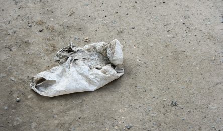 A plastic bag on the floor