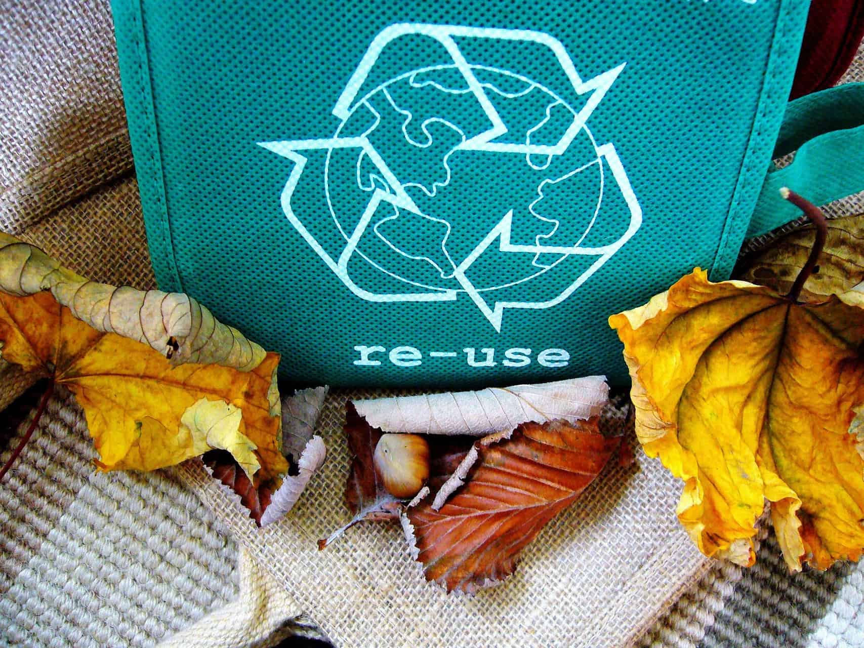Reuse bag in front of leaves