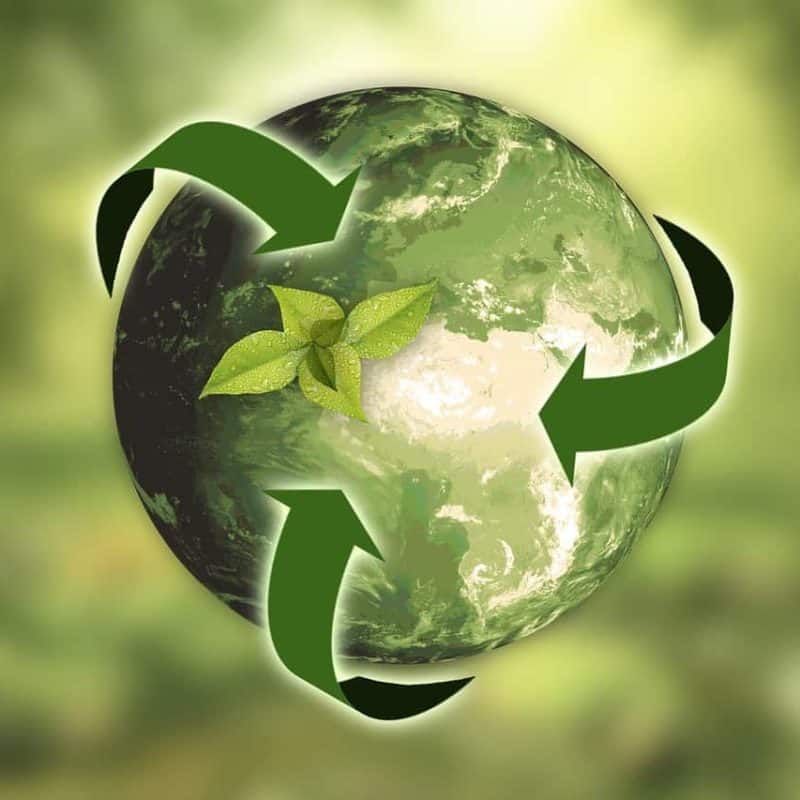 A polyolefin shrink wrap recycling sign with the earth inside