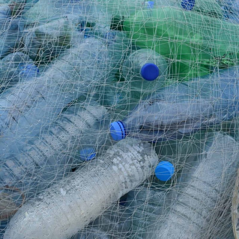 biodegradable packaging includes bottles which typically cannot be recycled