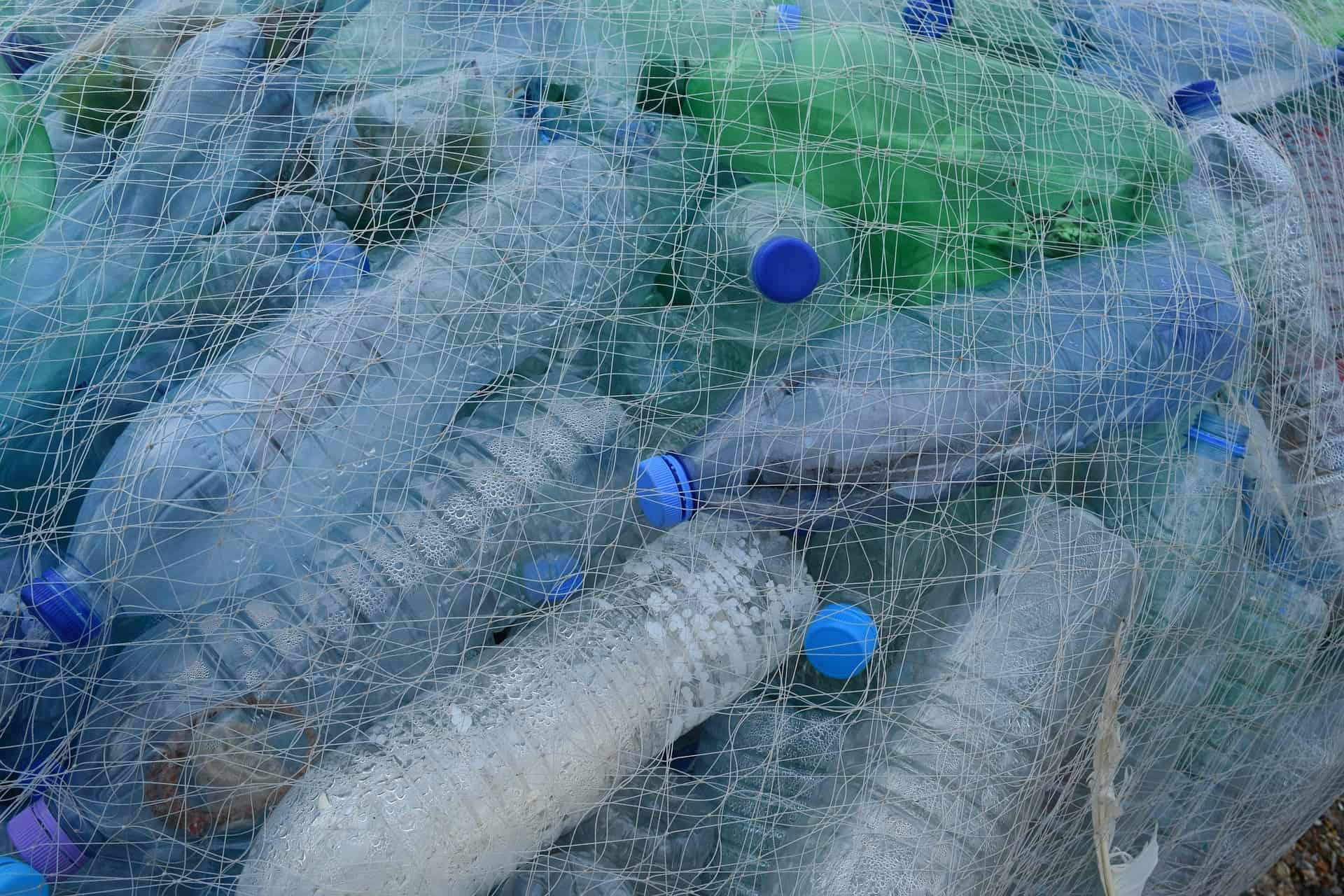 Advantages and Disadvantages of Biodegradable Shrink Wrap