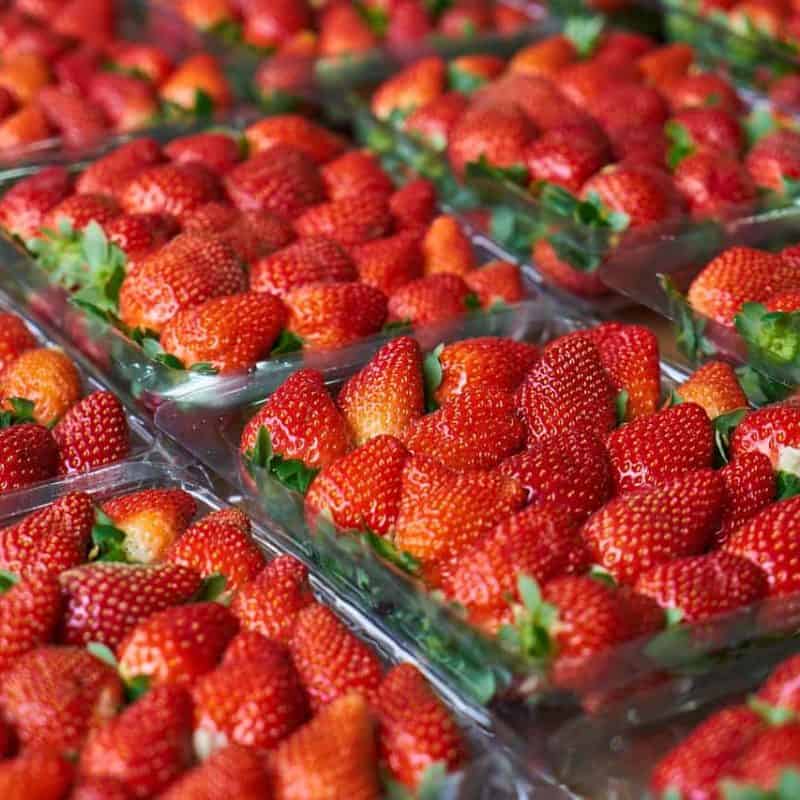 plastic packaging used to protect strawberry punnets